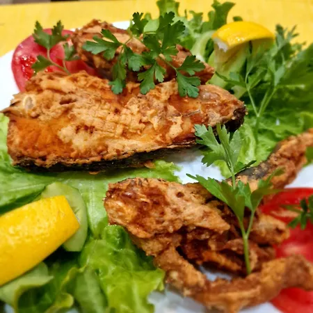 Отель Family Four Seasons Царёво