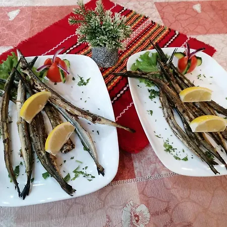 Family Four Seasons Zarewo