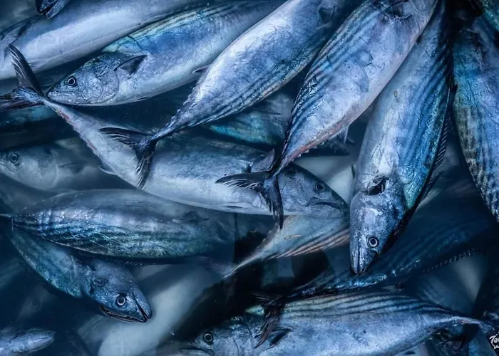 Family Four Seasons Hotel