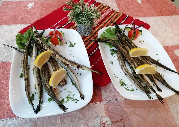 Family Four Seasons Țarevo